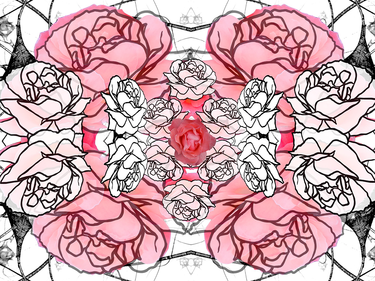 Rosa mística, 2022. Obra gráfica impresa sobre papel 100% de algodón. 70 cms x 100 cms