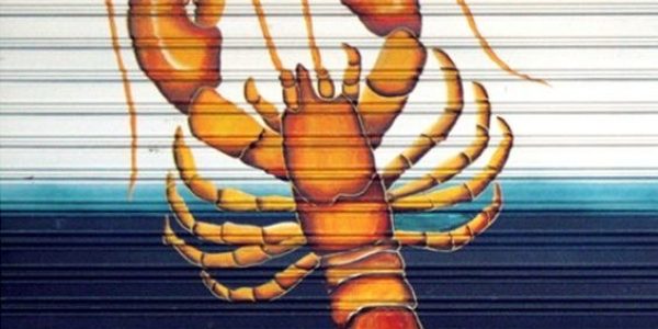 Cali-grafía # 19