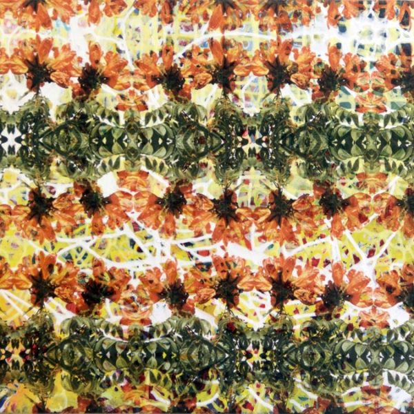 Tulipanes Africanos - Pintura