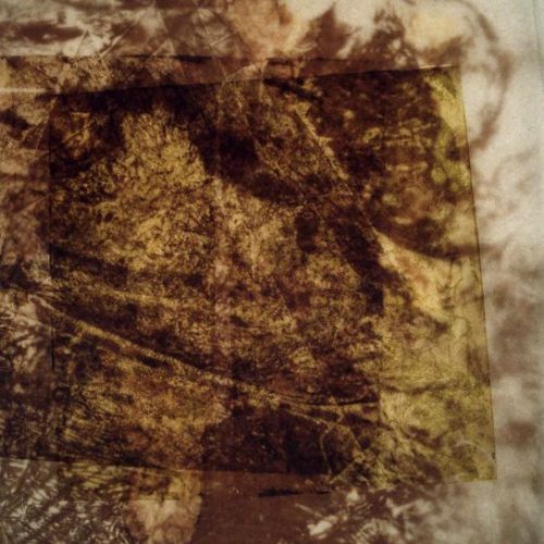 Huellas de Luz # 12, 2004. Monotipia y calcografía sobre papel de pergamino. 56 cms x 45 cms