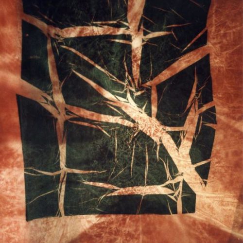 Huellas de Luz # 6, 2004. Monotipia y calcografía sobre papel de pergamino. 56 cms x 45 cms