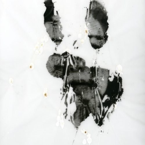 Transfiguración, 2005. Foto-serigrafía sobre papel pergamino. 55 cms x 45 cms