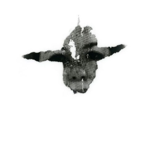 Transfiguración, 2005. Foto-serigrafía sobre papel pergamino. 55 cms x 45 cms