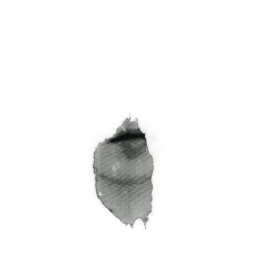 Transfiguración, 2005. Foto-serigrafía sobre papel pergamino. 55 cms x 45 cms